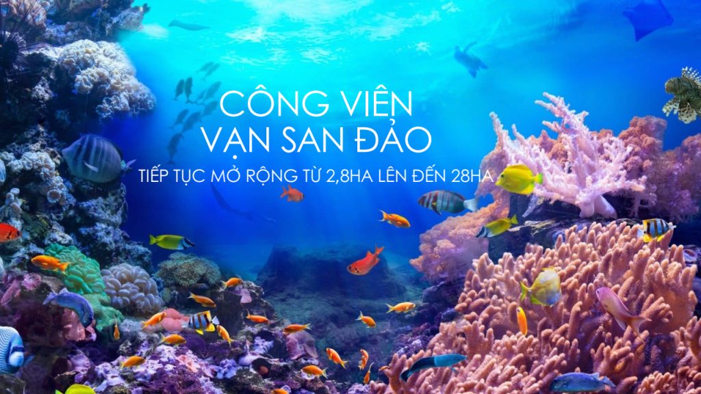Libera Nha Trang